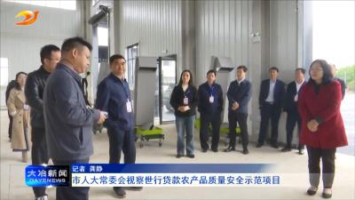 市人大常委会视察世行贷款农产品质量安全示范项目