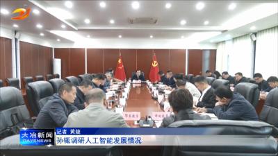 孙辄调研人工智能发展情况