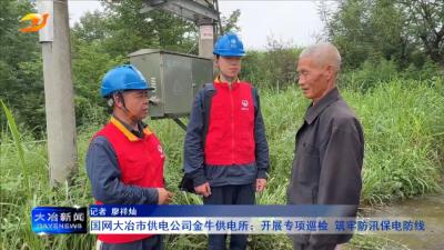 国网大冶市供电公司金牛供电所：开展专项巡检 筑牢防汛保电防线