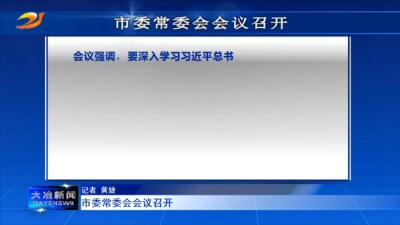 市委常委会会议召开