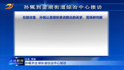 孙辄到金湖街道综治中心接访