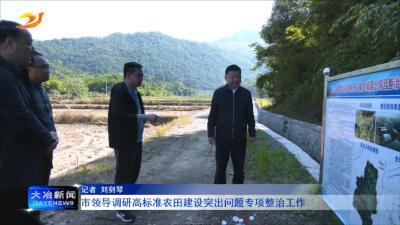 市领导调研高标准农田建设突出问题专项整治工作