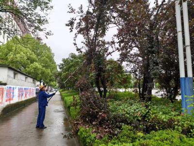 市园林局积极开展雨后清障作业