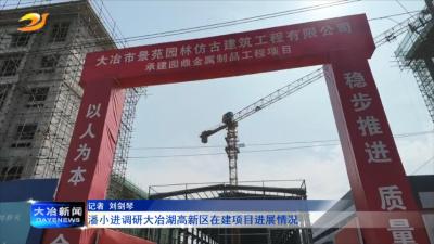 潘小进调研大冶湖高新区在建项目进展情况