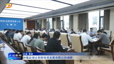孙辄赴湖北荆楚投资发展有限公司调研