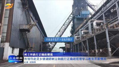 市领导赴灵乡镇调研树立和践行正确政绩观学习教育开展情况