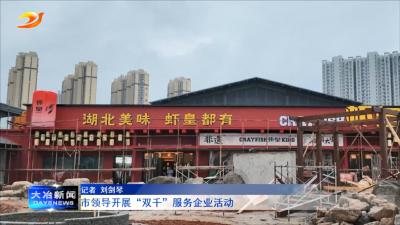 市领导开展“双千”服务企业活动