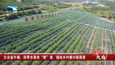 大冶金牛镇：四季水果抢“鲜”尝 描绘乡村振兴新图景