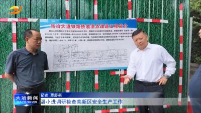 潘小进调研检查高新区安全生产工作