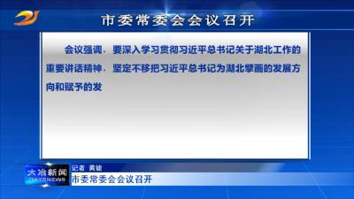 市委常委会会议召开