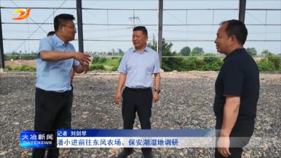 潘小进前往东风农场、保安湖湿地调研