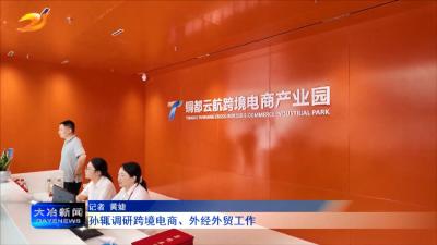 孙辄调研跨境电商、外经外贸工作
