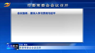 市委常委会会议召开