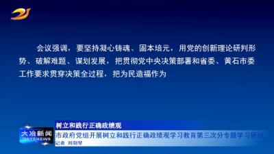 市政府党组开展树立和践行正确政绩观学习教育第三次分专题学习研讨