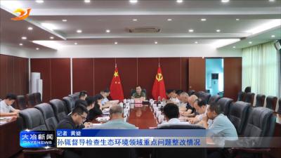 孙辄督导检查生态环境领域重点问题整改情况