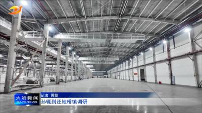孙辄到还地桥镇调研