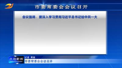 市委常委会会议召开