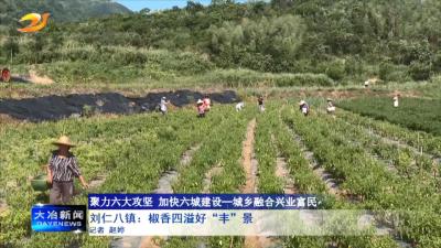 刘仁八镇：椒香四溢好“丰”景
