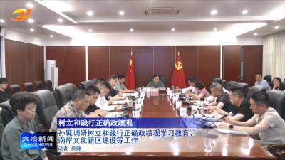 孙辄调研树立和践行正确政绩观学习教育、南岸文化新区建设等工作