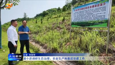 
潘小进调研生态治理、农业生产和基层党建工作
