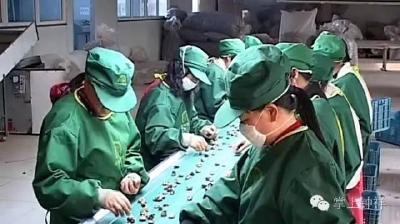 钟祥食用菌产品通过国家生态原产地产品保护项目评审