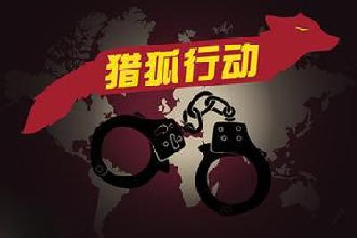 今年“猎狐行动”已抓捕634名逃犯 59人涉案过亿