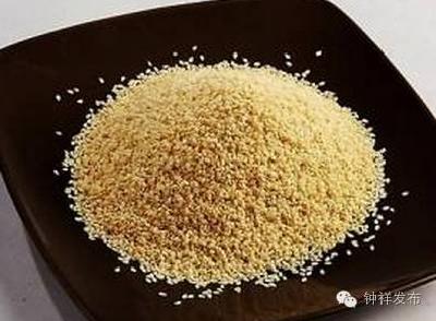 我市居然有这么多野生特色的种子！看你认识几个？