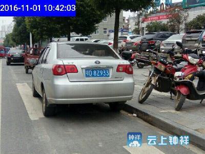 车辆违停被抓拍了 您中招了吗