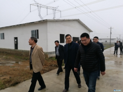 省畜牧兽医局局长盖卫星调研钟祥市南方草场项目 