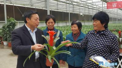 “大柴湖开发区花卉苗木提档升级增效培训班”开班      