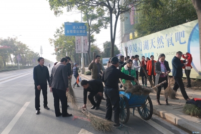 市卫计局全体机关干部义务劳动