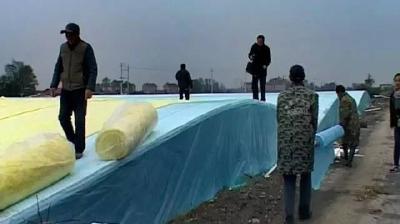 全国最大商品龟养殖基地落户冷水