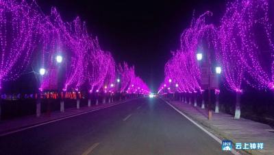莫愁湖畔新气象　火树银花不夜天