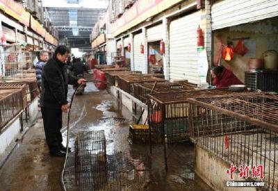 未来或仍将有H7N9散发病例报告 疫情防控需注意这些