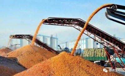 我市荣获2016年度全省粮食工作先进称号