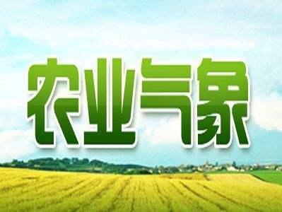好消息！3月8日起 展示钟祥葛根产业的形象宣传语登陆央视农业频道（CCTV-7）《农业气象》栏目