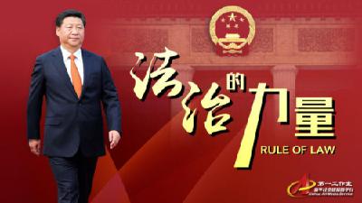 法治的力量