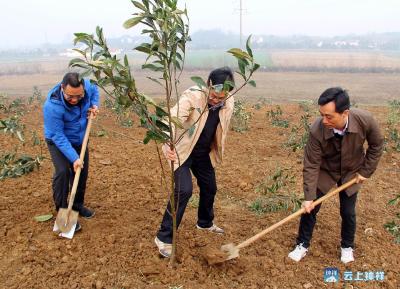 钟祥机关干部九里义务植树
