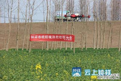 市农业局统防统治飞防油菜核菌病项目在群益村启动