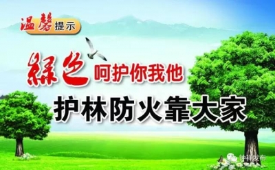 市府部署全市护林防火工作，要求......