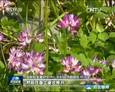 让庄稼笑得更灿烂