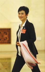 李小琳：不放过每一次机会呼吁大力发展新能源(图)