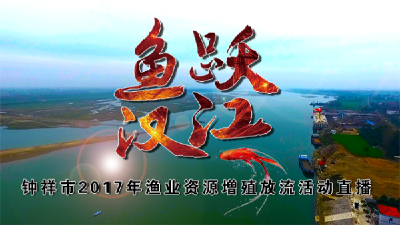 鱼跃汉江——钟祥市2017年渔业资源增殖放流活动直播