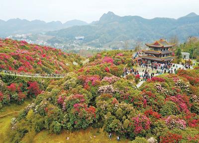 神州清明春意浓