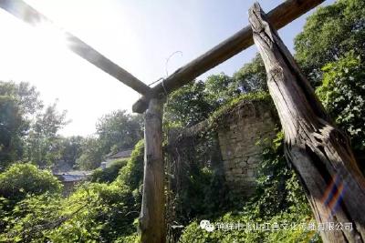 【红色追寻 光辉北山】荆钟县委机关旧居