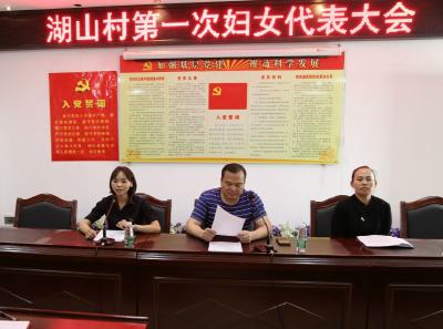 钟祥市村妇代会改建妇联工作在湖山村启动