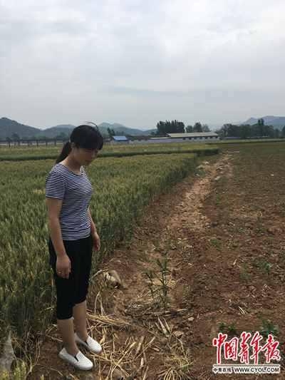 女子为父追凶20年：嫌犯仍在逃 要给父亲一个交代