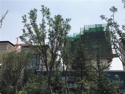 环京楼市“加价销售” 多以捆绑精装等一次性付款