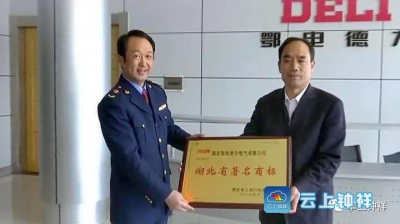 品牌强市成效明显 钟祥有效注册商标达1703件