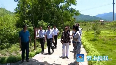 省旅游委对钟祥市客店镇南庄村争创省旅游名村进行检查验收